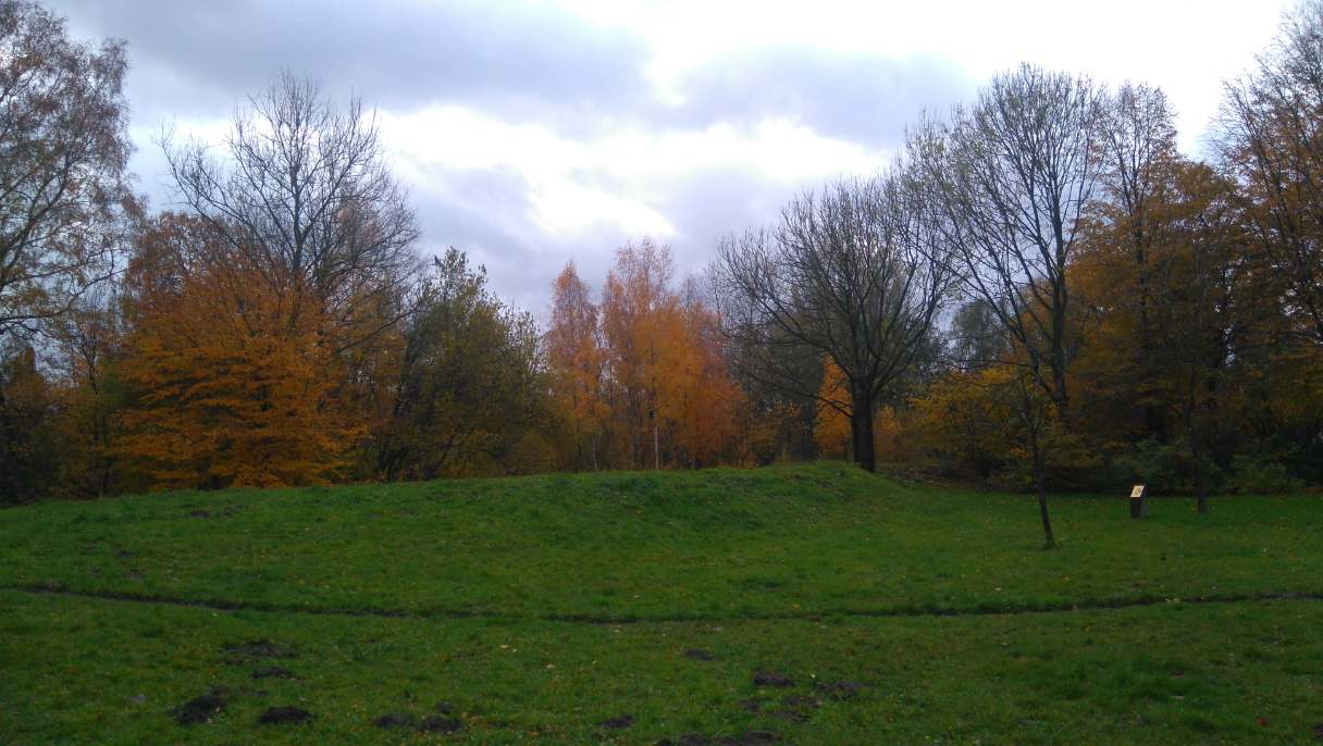 Foto van herfstsfeer (bomen met bruine bladeren) in het nieuwe gedeelte van Natuurpark De Brink.